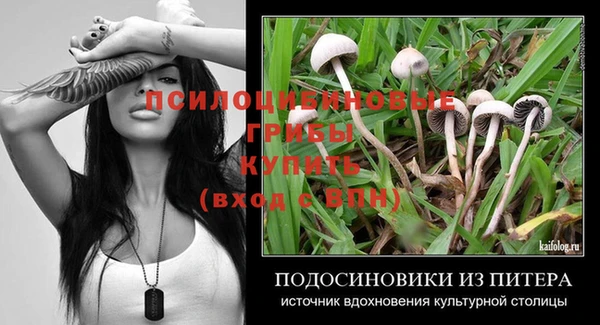 первитин Балахна